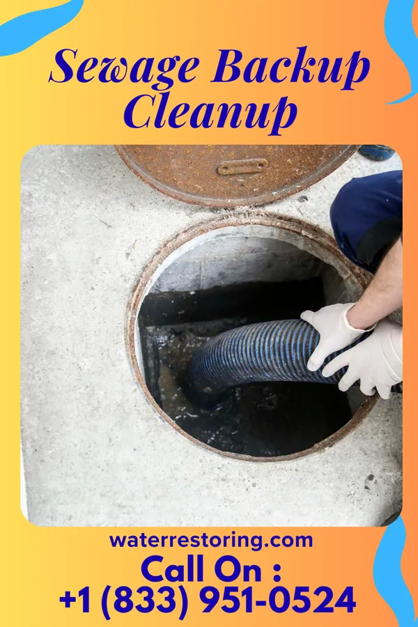 Sewage Backup Cleanup in Farnhamville, IA