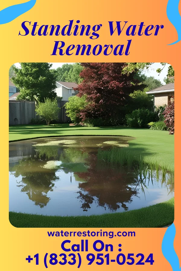 Standing Water Removal in Farnhamville, IA